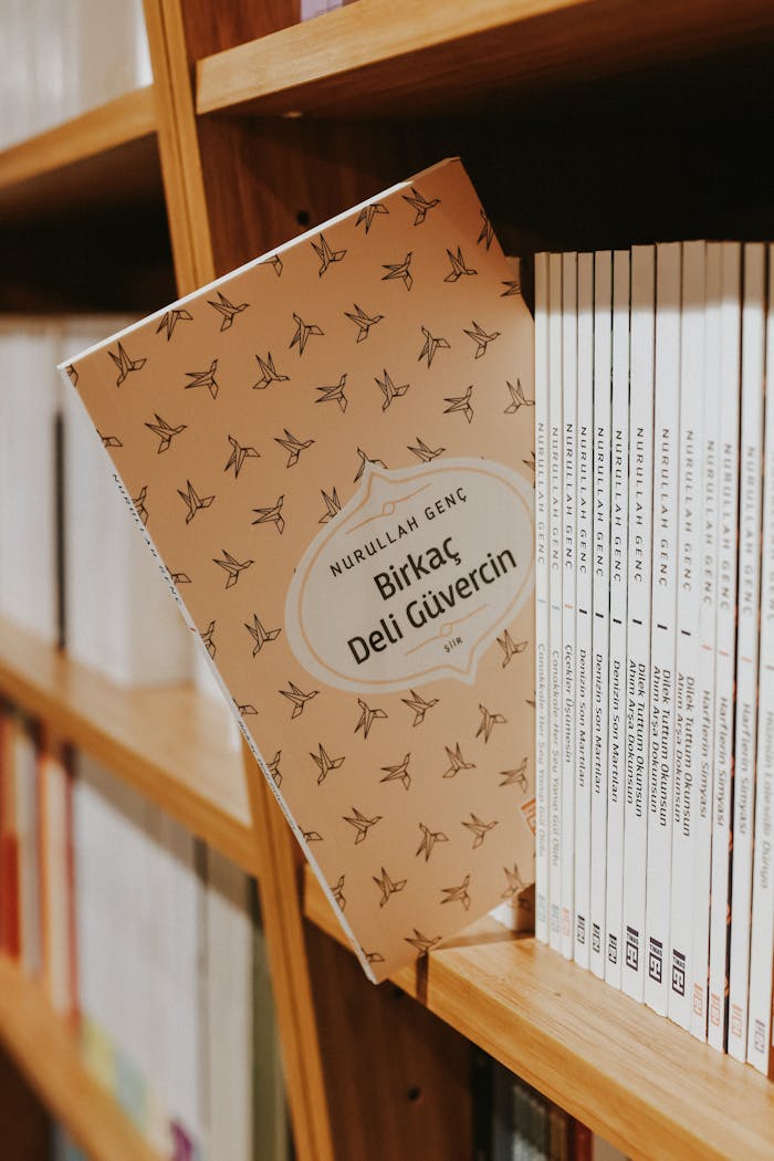A close-up of books displayed on a wooden library shelf with a focus on 'Birkaç Deli Güvercin'.